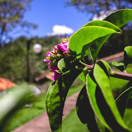 Pousada Recanto Dos Beija Flores Monte Alegre do Sul Eksteriør billede