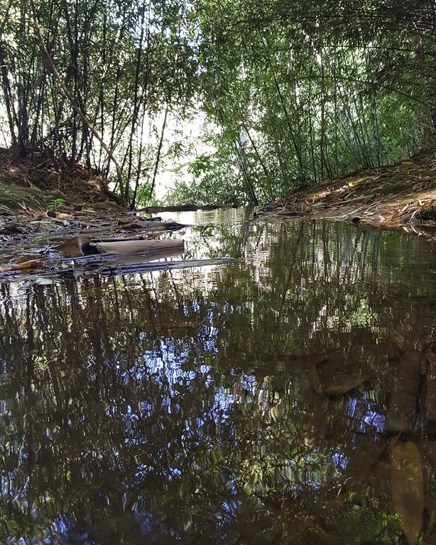 Pousada Recanto Dos Beija Flores Monte Alegre do Sul Eksteriør billede