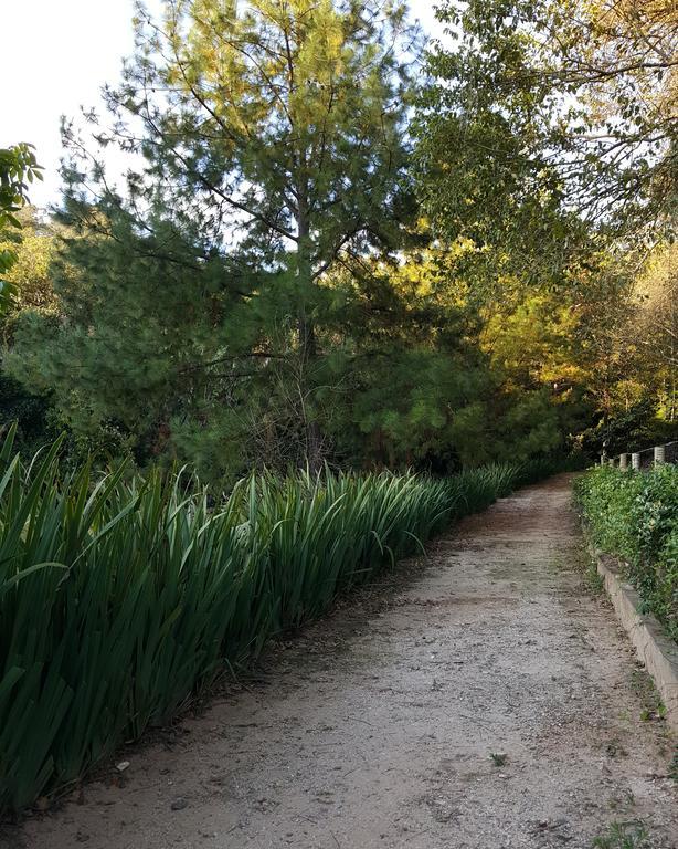Pousada Recanto Dos Beija Flores Monte Alegre do Sul Eksteriør billede