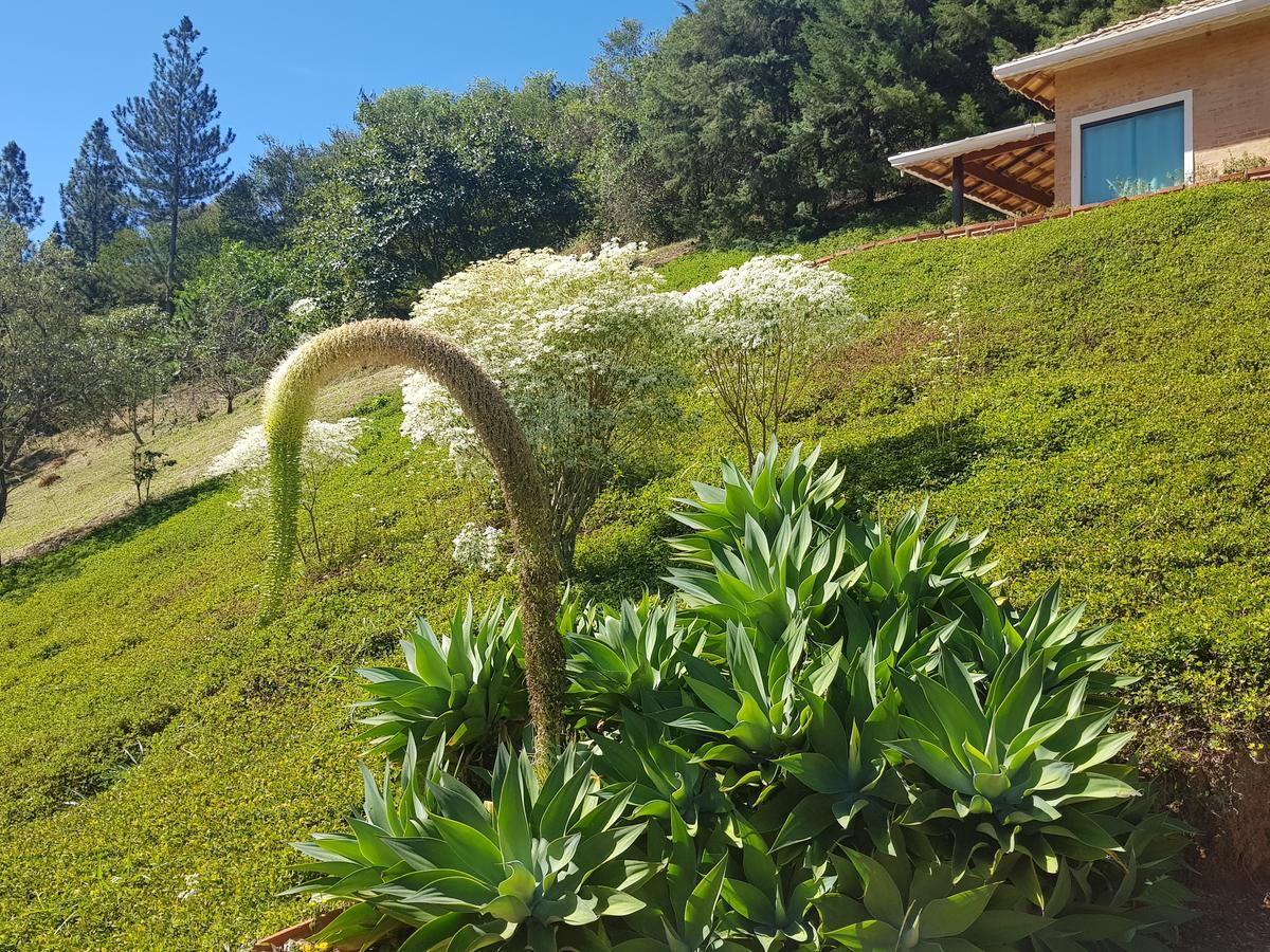 Pousada Recanto Dos Beija Flores Monte Alegre do Sul Eksteriør billede