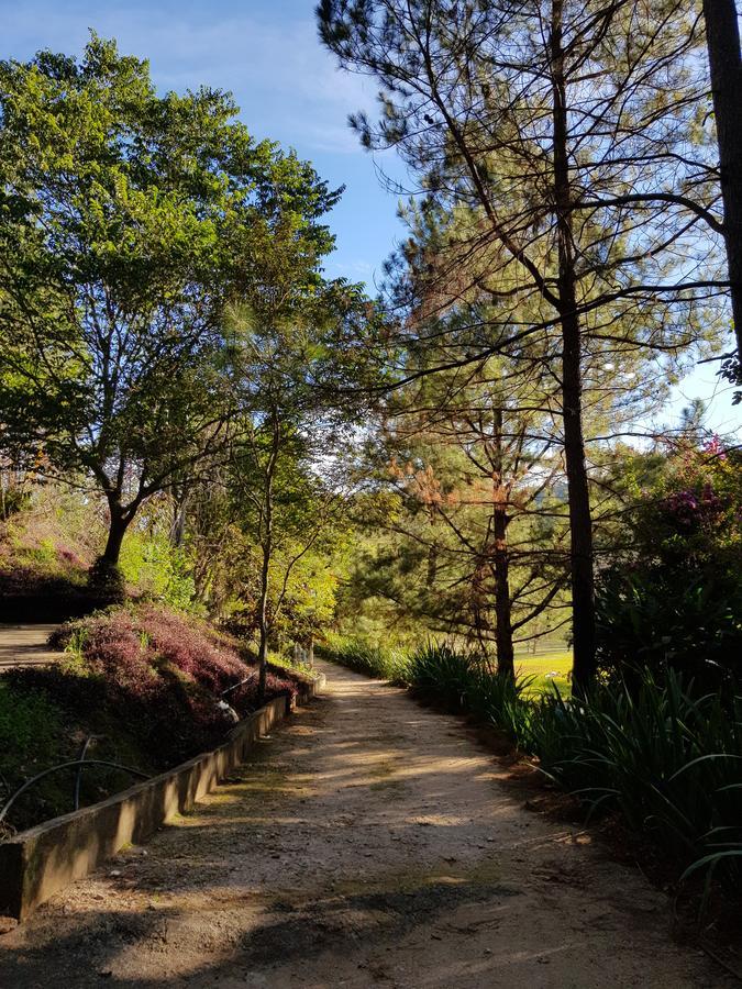 Pousada Recanto Dos Beija Flores Monte Alegre do Sul Eksteriør billede