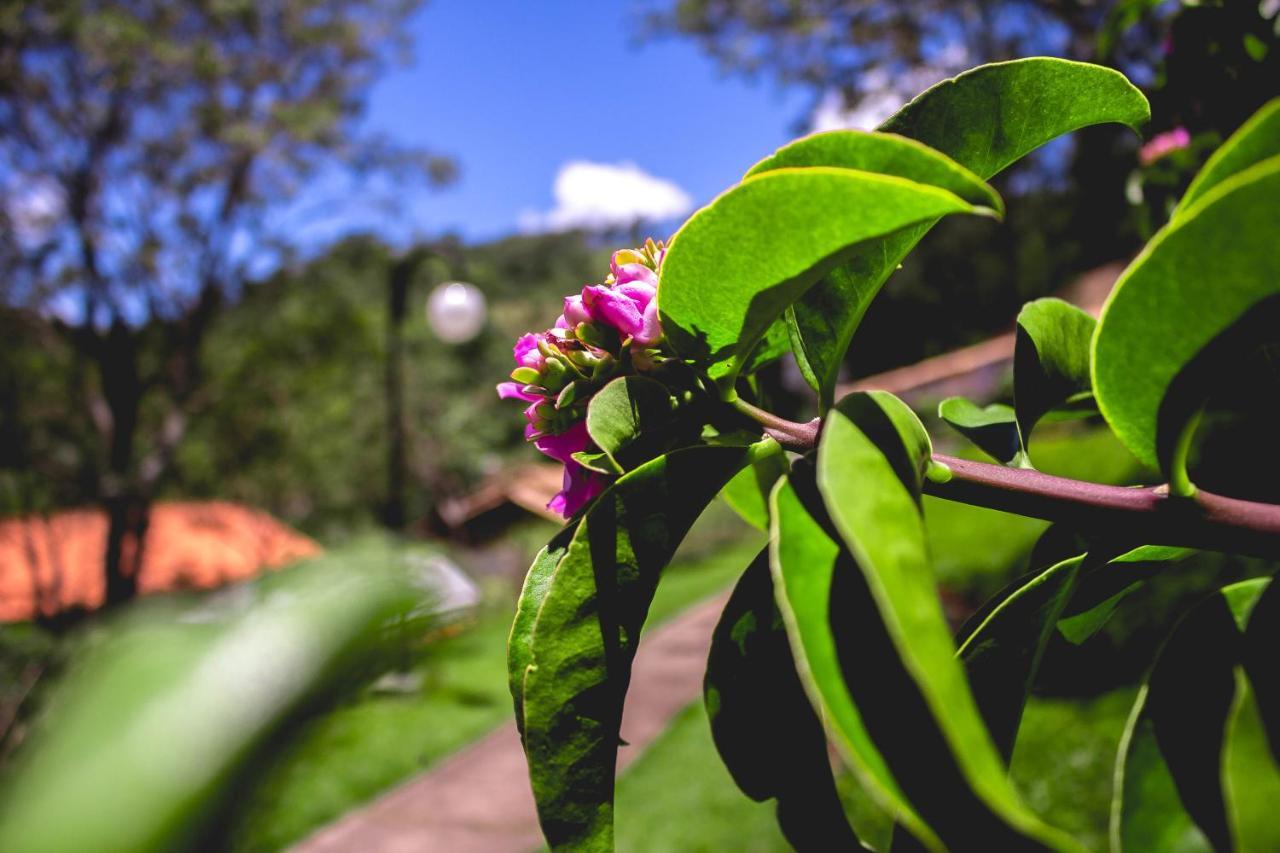 Pousada Recanto Dos Beija Flores Monte Alegre do Sul Eksteriør billede